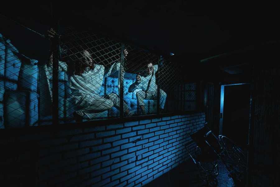 Квест в реальности Психиатрическая лечебница от компании Quest Stars/Паника Квест в реальности Психиатрическая лечебница от компании Quest Stars/Паника