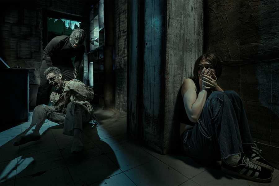 Квест в реальности Коллекционер от компании Паника Квест в реальности Коллекционер от компании Паника