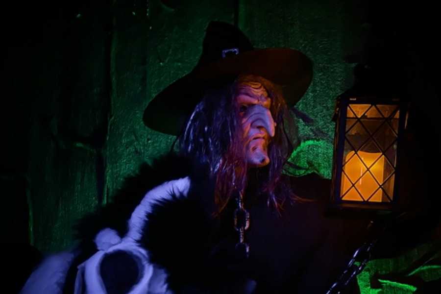 Квест в реальности Темный лес от компании Дом страха Квест в реальности Темный лес от компании Дом страха