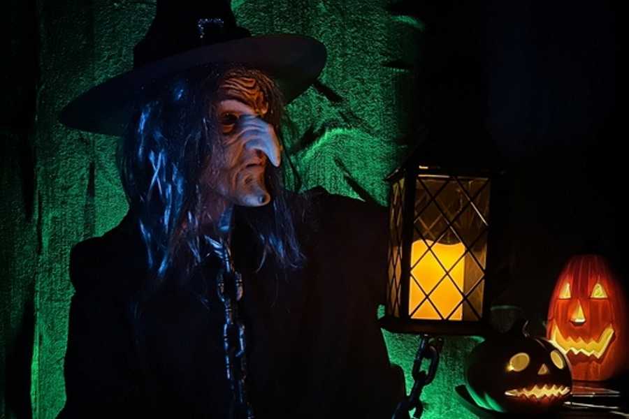 Квест в реальности Темный лес от компании Дом страха Квест в реальности Темный лес от компании Дом страха