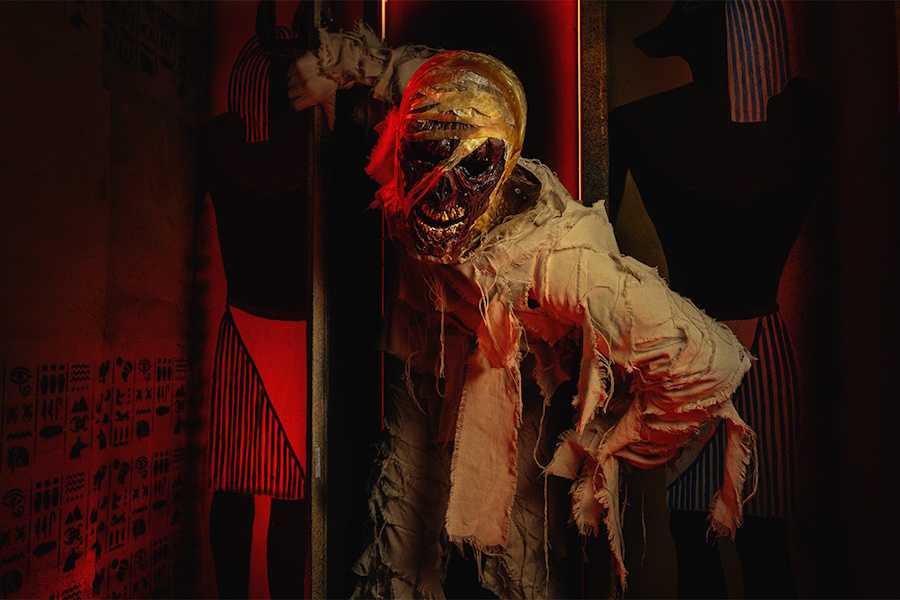 Квест в реальности Creepshow от компании Паника Квест в реальности Creepshow от компании Паника