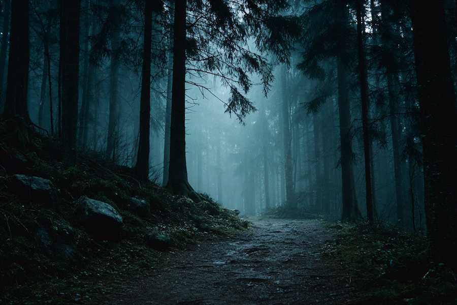 Квест в реальности К.Д.Ж. Тень вендиго от компании Quest Stars/Квестофилы Квест в реальности К.Д.Ж. Тень вендиго от компании Quest Stars/Квестофилы